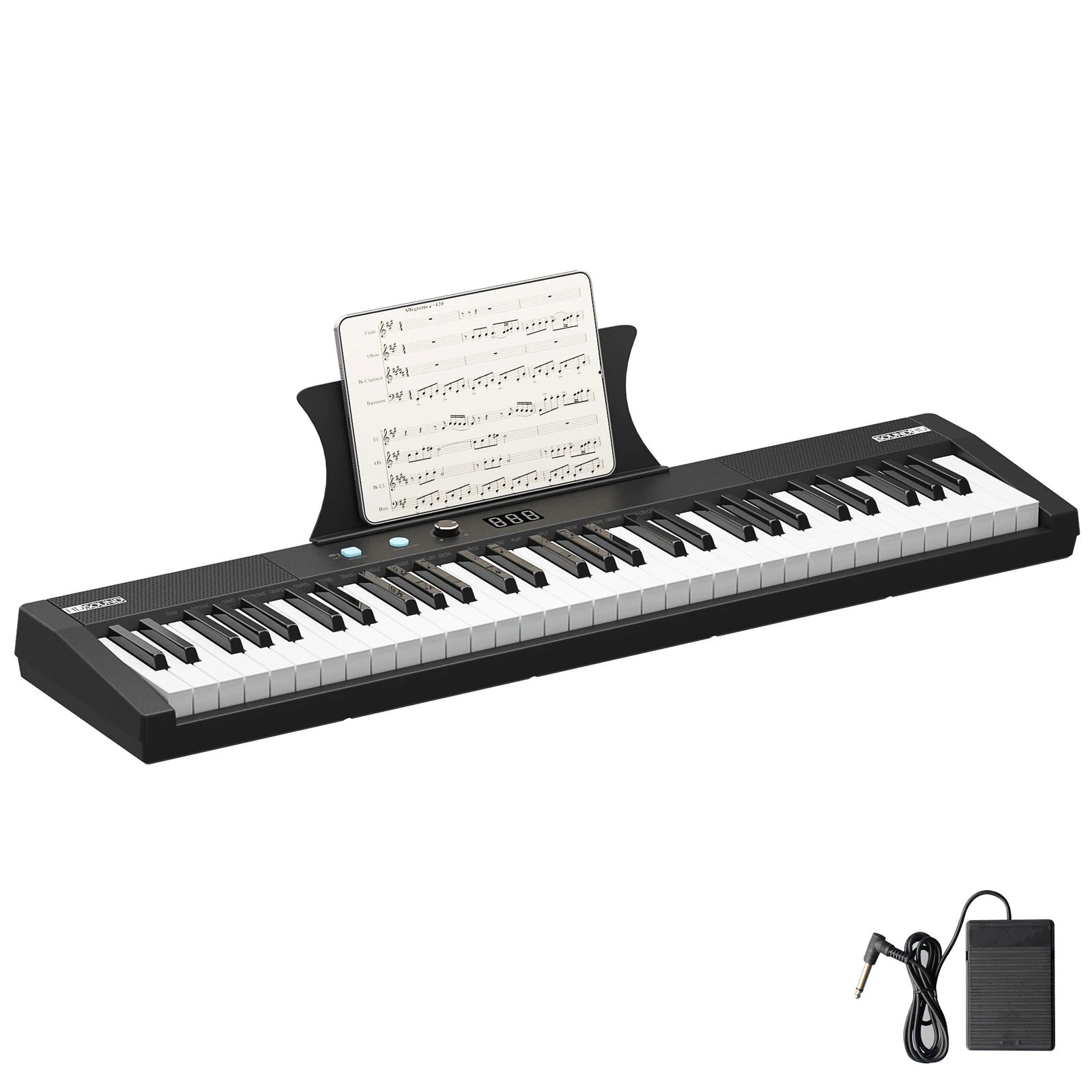 61 Key Keyboard Piano, Protable Electric Semi-Weighted Piano Keyboard For Beginner Professional, Built In Speakers
